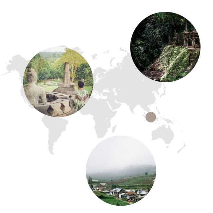 Ursprungsgebiet von Nelken auf der Weltkarte: Indonesien