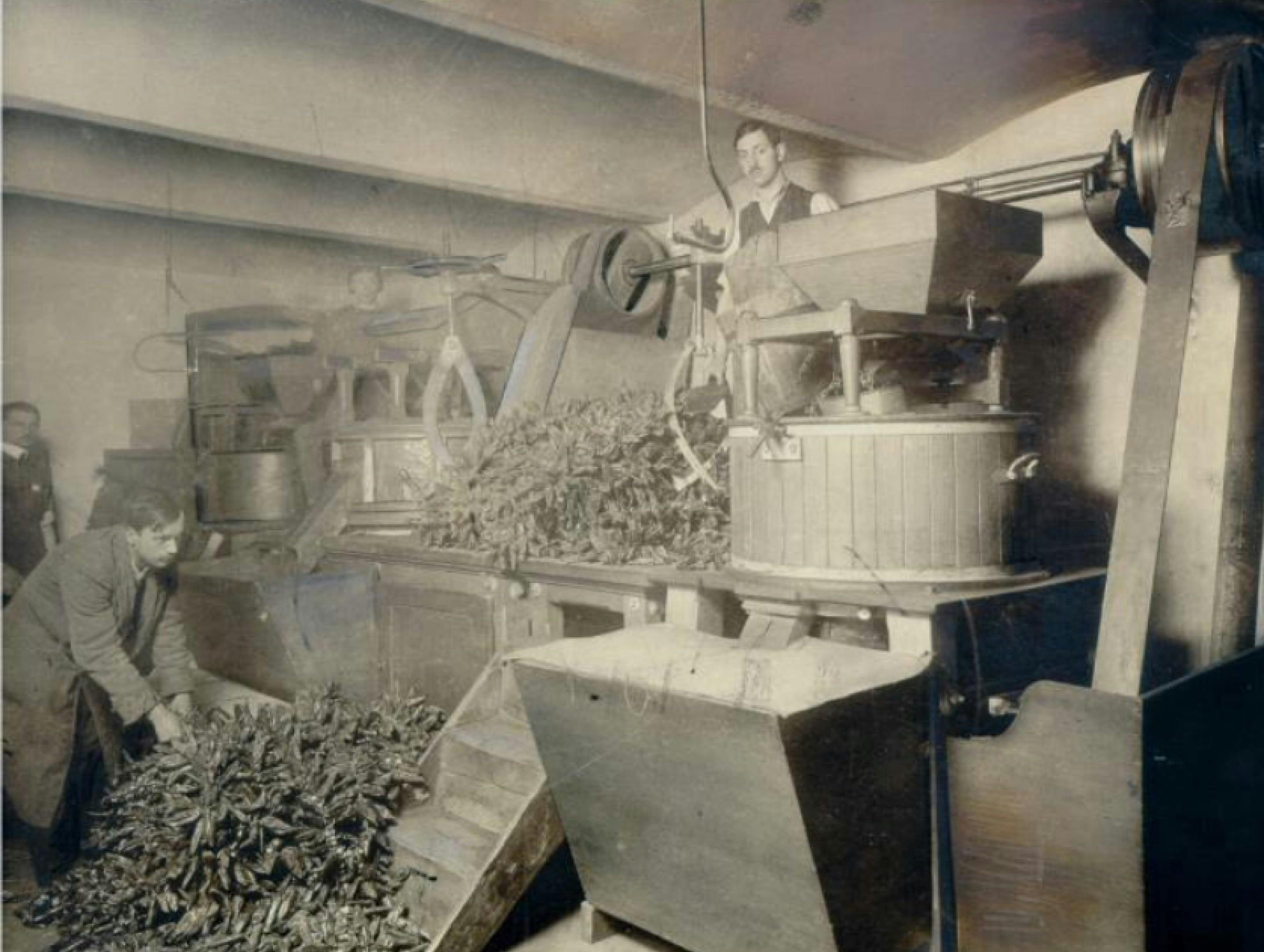 Crno-bijela fotografija: mlin za papriku Kotányi iz 1881.