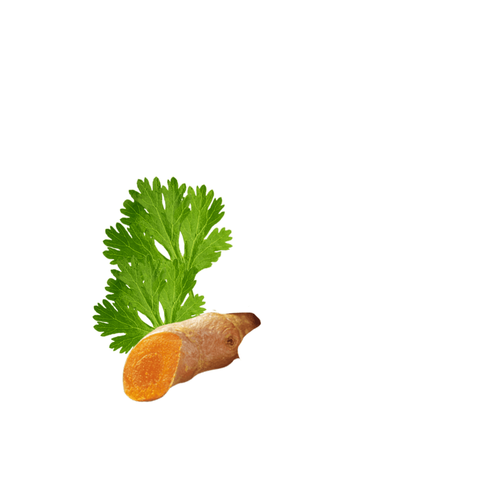 Crispypoh Curry Content