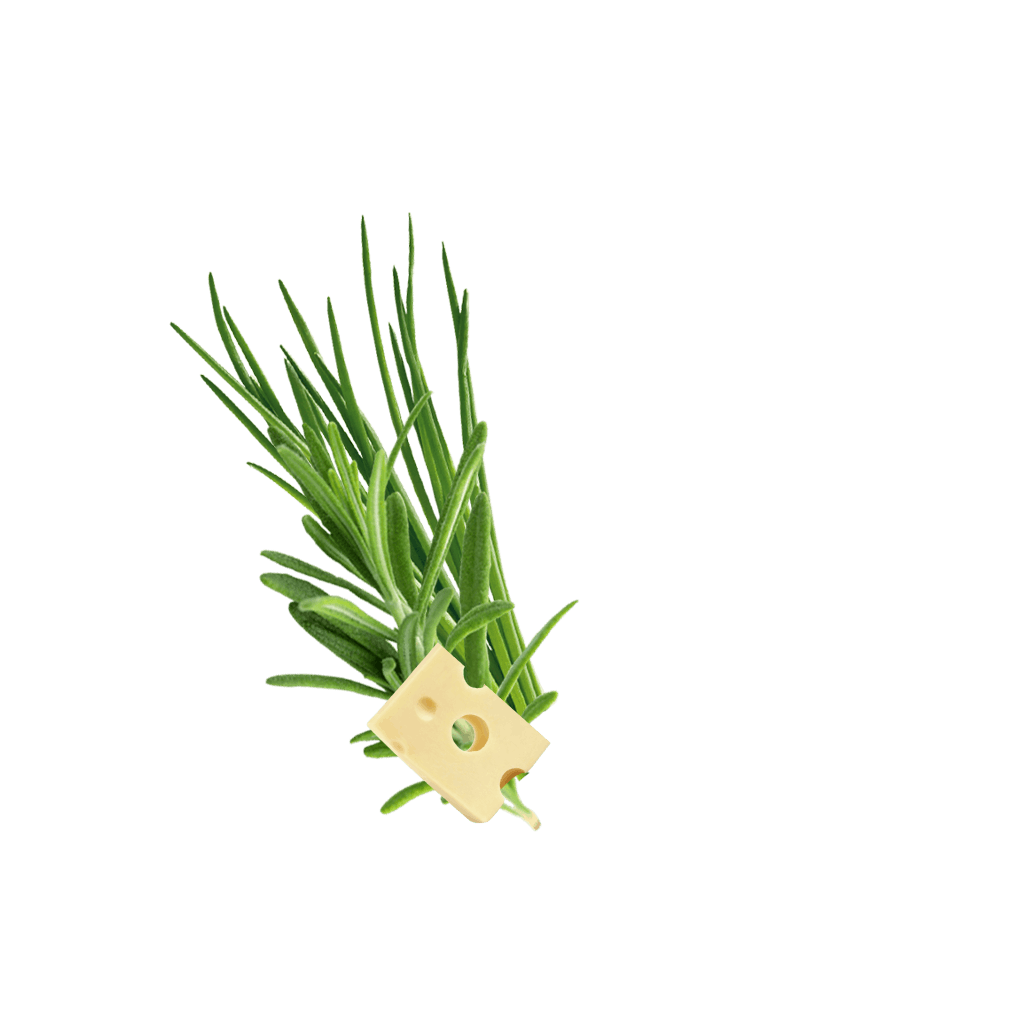 Crispypoh Sir Content