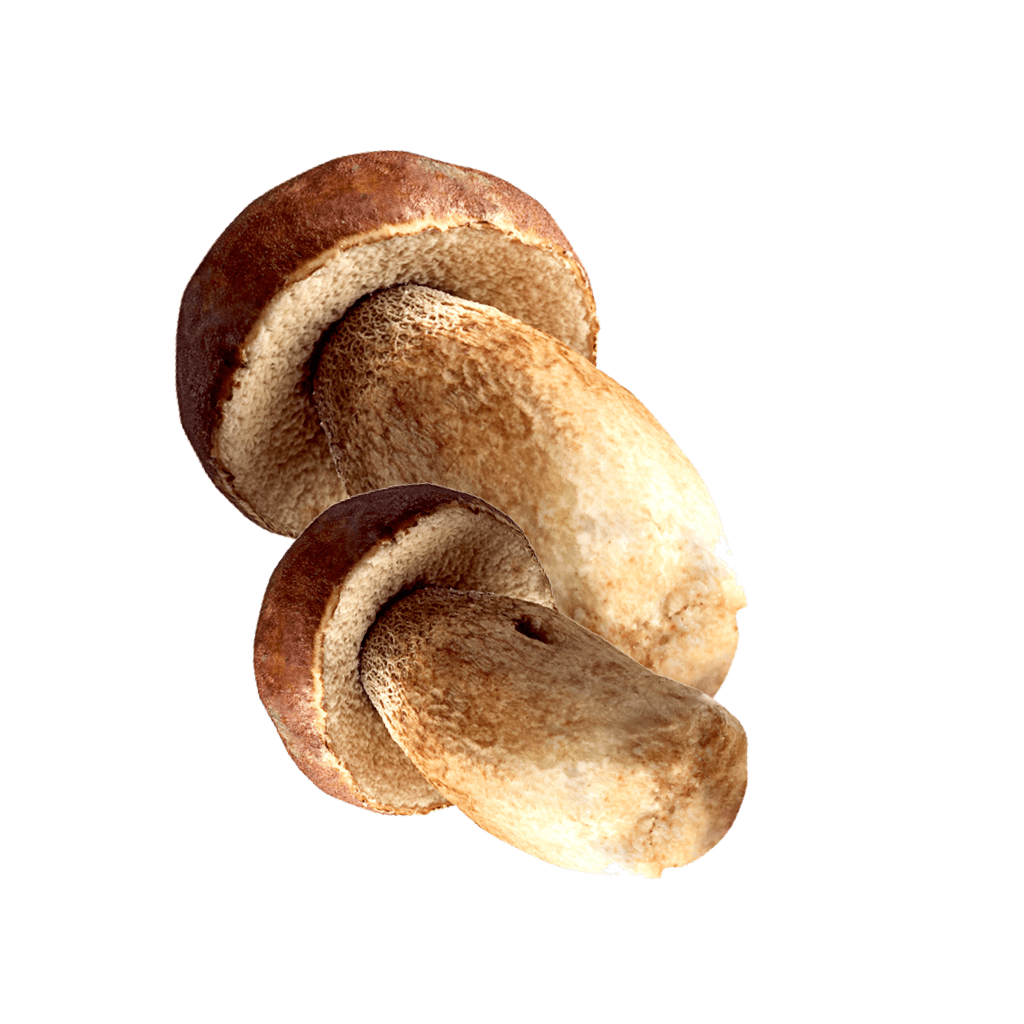 Steinpilz Kotanyi Inhalt