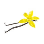 Vanille B2b Categimage